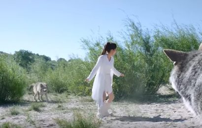 Princess Agents Episode 1 Chu Qiao Selamat dari Serigala Princess Agents Episode 1 Chu Qiao Selamat dari Serigala